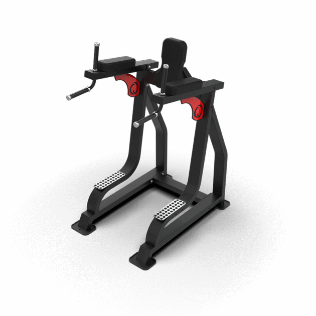 QLI LEG RAISE & DIP QLRD065